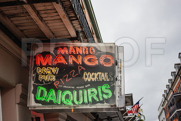 20081024_New_Orleans_LA_5L8Y0417