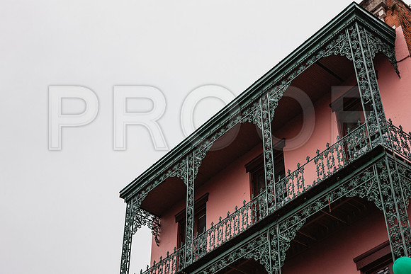 20081024_New_Orleans_LA_5L8Y9826