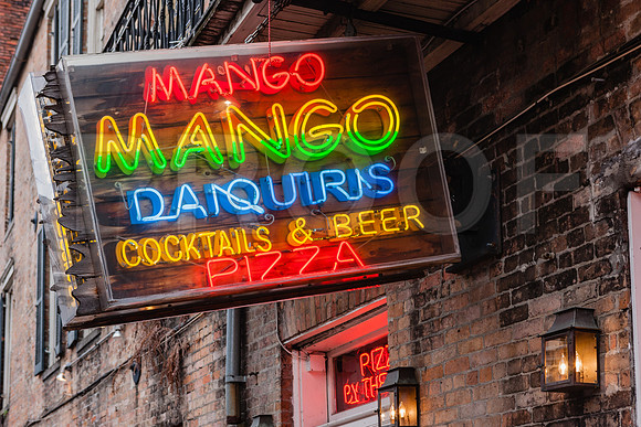 20081024_New_Orleans_LA_5L8Y9937