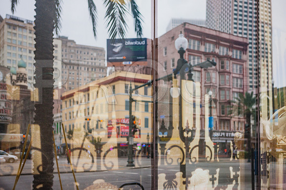20081024_New_Orleans_LA_5L8Y9742