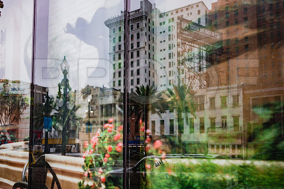 20081024_New_Orleans_LA_5L8Y9736