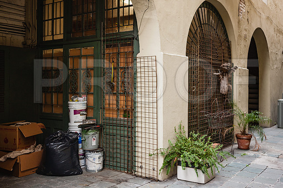 20081024_New_Orleans_LA_5L8Y0431