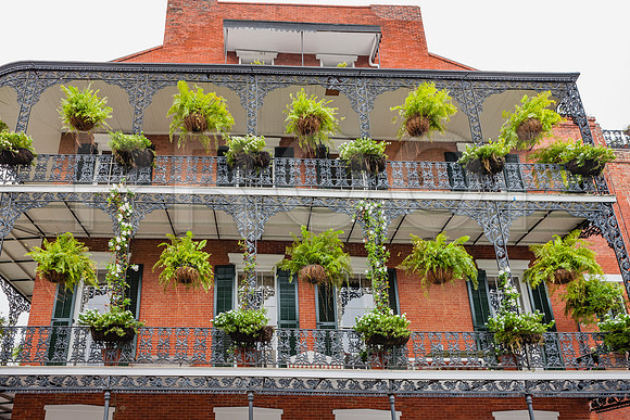 20081024_New_Orleans_LA_5L8Y0313