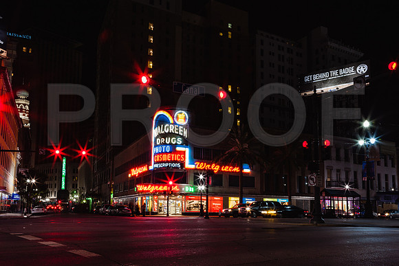20081024_New_Orleans_LA_5L8Y0523
