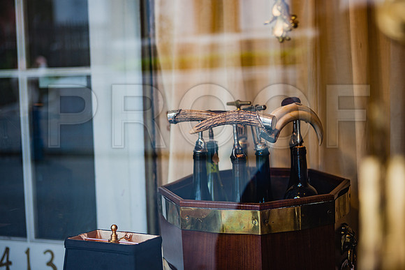 20081024_New_Orleans_LA_5L8Y0202