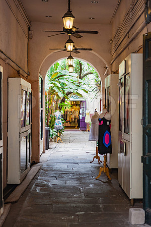 20081024_New_Orleans_LA_5L8Y0370