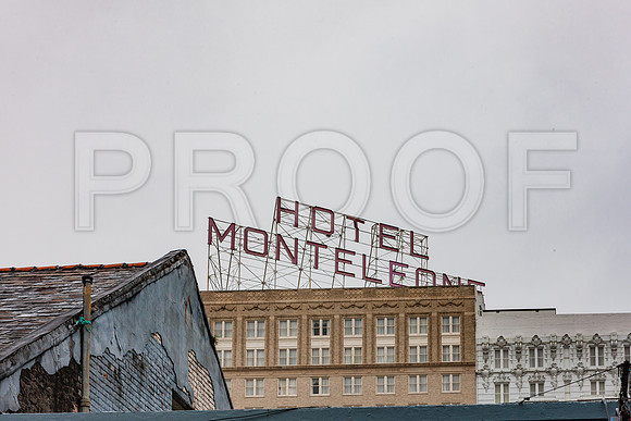 20081024_New_Orleans_LA_5L8Y9815