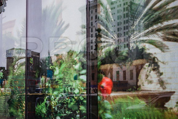 20081024_New_Orleans_LA_5L8Y9738