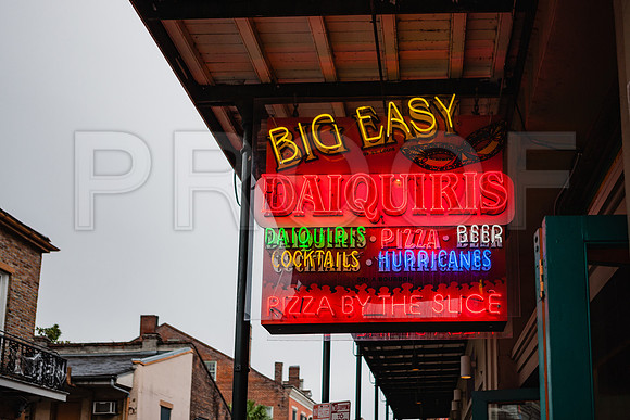20081024_New_Orleans_LA_5L8Y0039