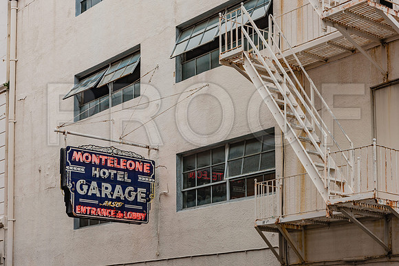20081024_New_Orleans_LA_5L8Y0180