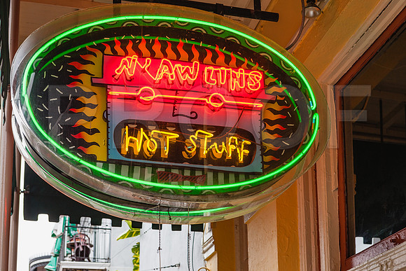 20081024_New_Orleans_LA_5L8Y9831