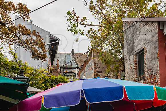 20081024_New_Orleans_LA_5L8Y0097