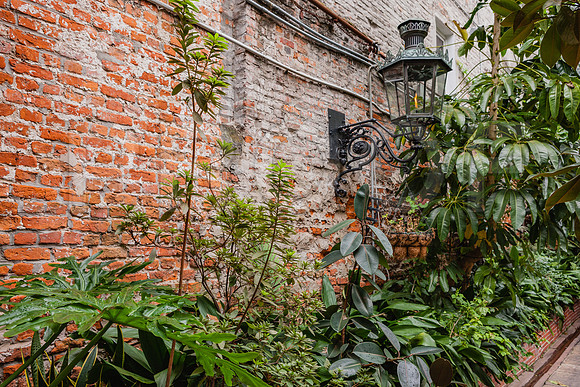 20081024_New_Orleans_LA_5L8Y0204