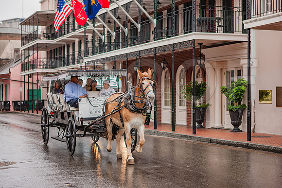 20081024_New_Orleans_LA_5L8Y0101