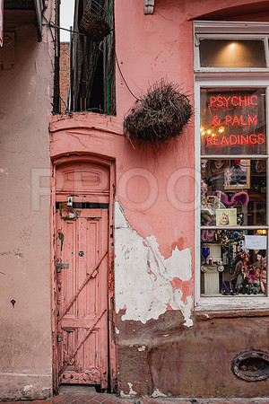 20081024_New_Orleans_LA_5L8Y0108