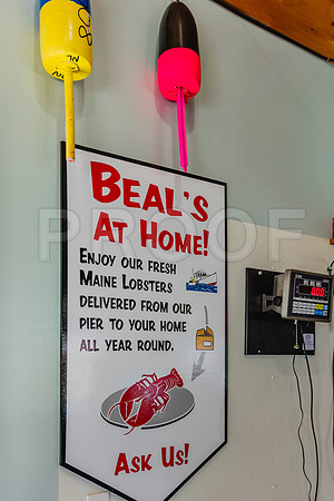20150907_Bar_Harbor_075A8210