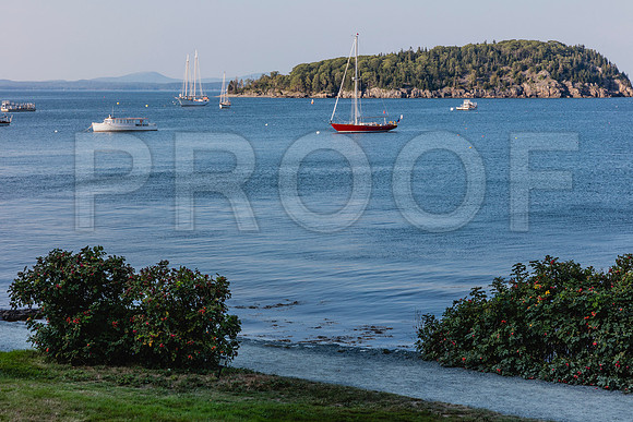 20150907_Bar_Harbor_075A8293