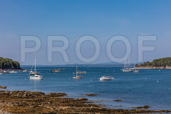 20150907_Bar_Harbor_075A8282