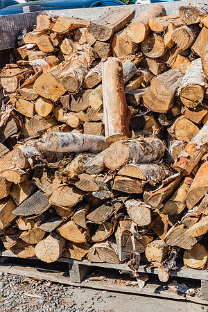 20150907_Bar_Harbor_075A8234