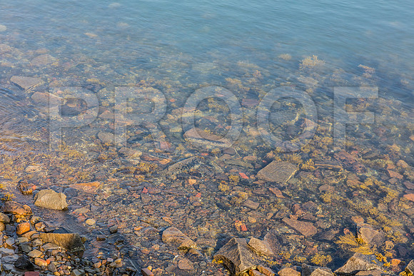 20150906_Bar_Harbor_075A8039