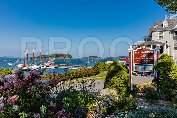 20150907_Bar_Harbor_075A8277
