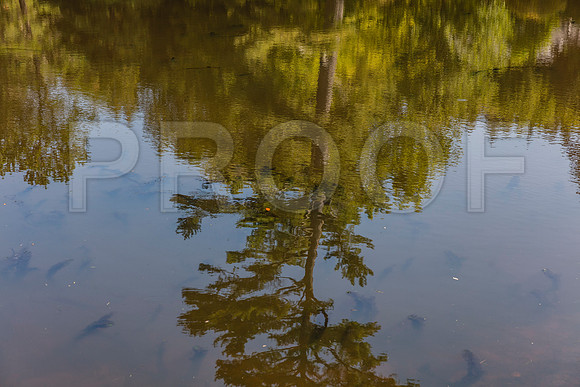 20150906_Bar_Harbor_075A8149