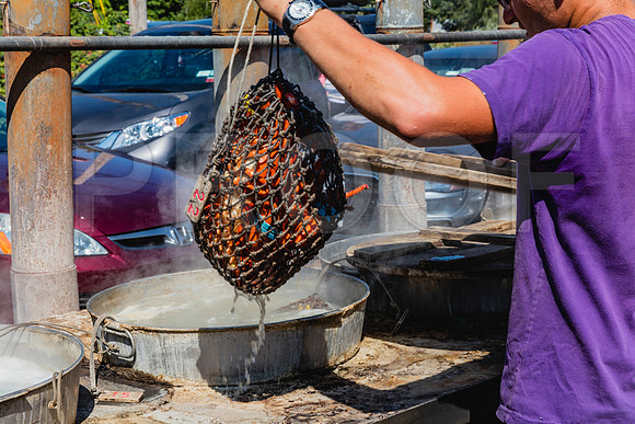 20150907_Bar_Harbor_075A8241