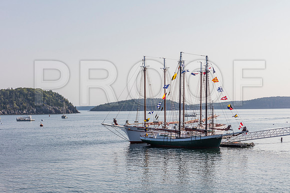 20150906_Bar_Harbor_075A8026