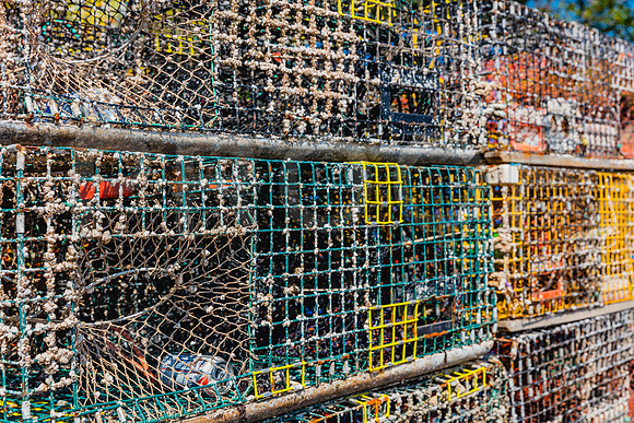20150906_Bar_Harbor_075A8173