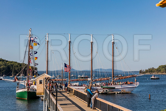 20150906_Bar_Harbor_075A7969