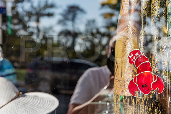 20150906_Bar_Harbor_075A8048