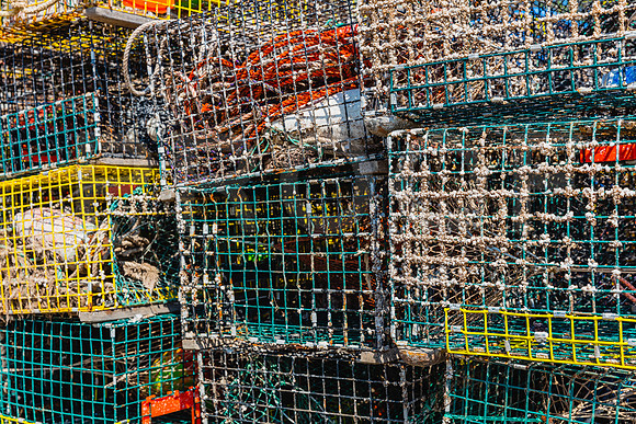 20150906_Bar_Harbor_075A8171