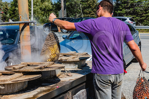 20150907_Bar_Harbor_075A8245