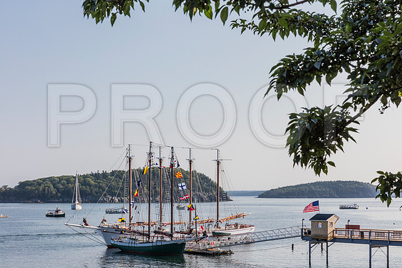 20150906_Bar_Harbor_075A8022