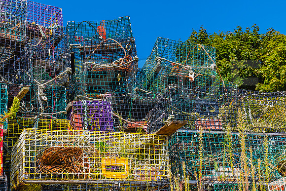 20150906_Bar_Harbor_075A8169
