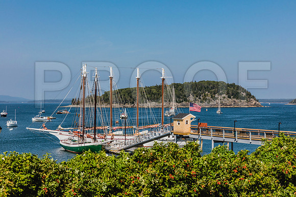 20150907_Bar_Harbor_075A8275