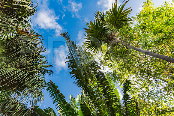 20140423_Key_West_9C7C1788