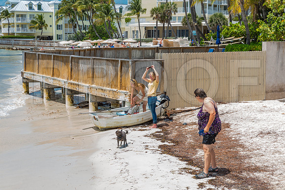 20140422_Key_West_9C7C1602