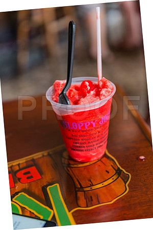 20140421_Key_West_9C7C0948