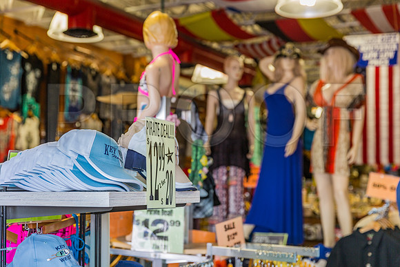 20140421_Key_West_9C7C0923