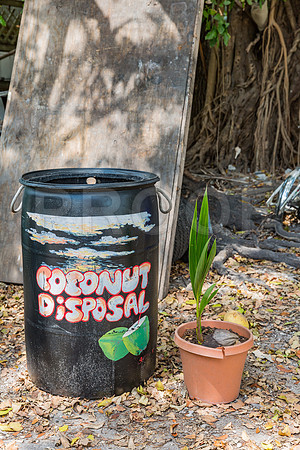 20140422_Key_West_9C7C1689