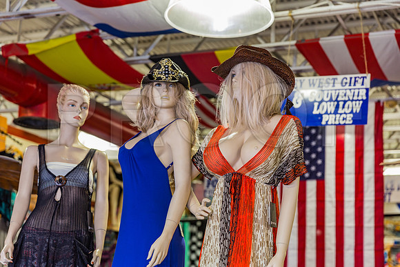20140422_Key_West_9C7C1780