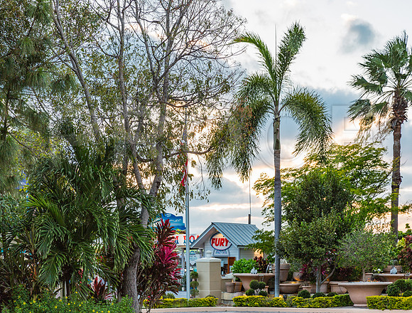 20140421_Key_West_9C7C1242