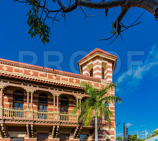 20140423_Key_West_9C7C1831