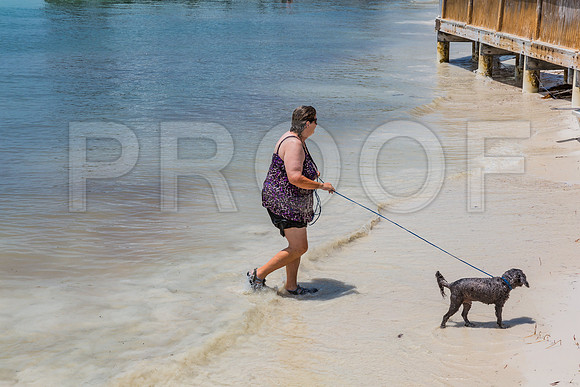20140422_Key_West_9C7C1596