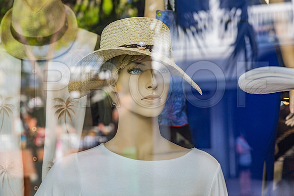 20140421_Key_West_9C7C1022