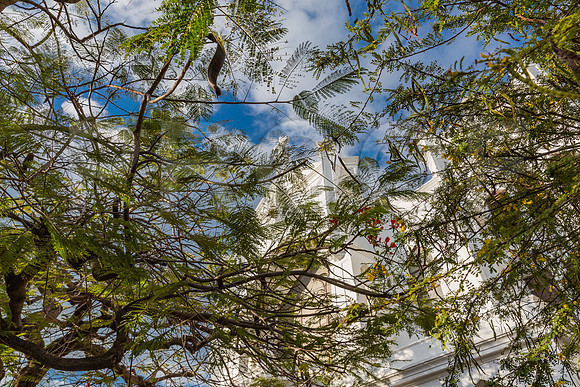 20140421_Key_West_9C7C1109
