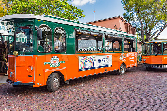 20140422_Key_West_9C7C1309