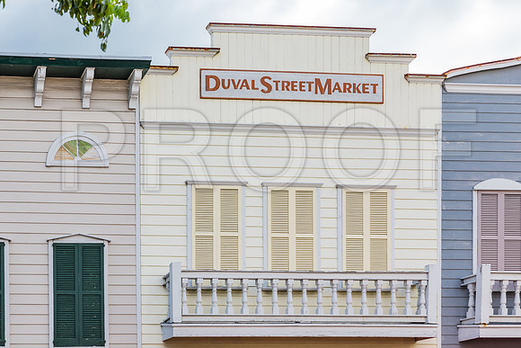 20140421_Key_West_9C7C1086