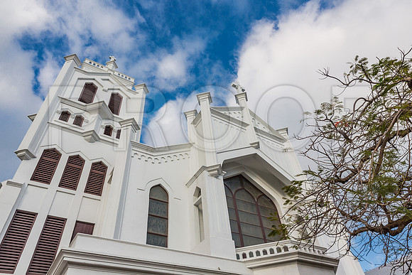 20140421_Key_West_9C7C1112
